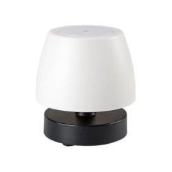 Lampa stołowa Odera Rabalux...