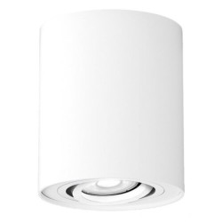 Lampa podsufitowa biała...