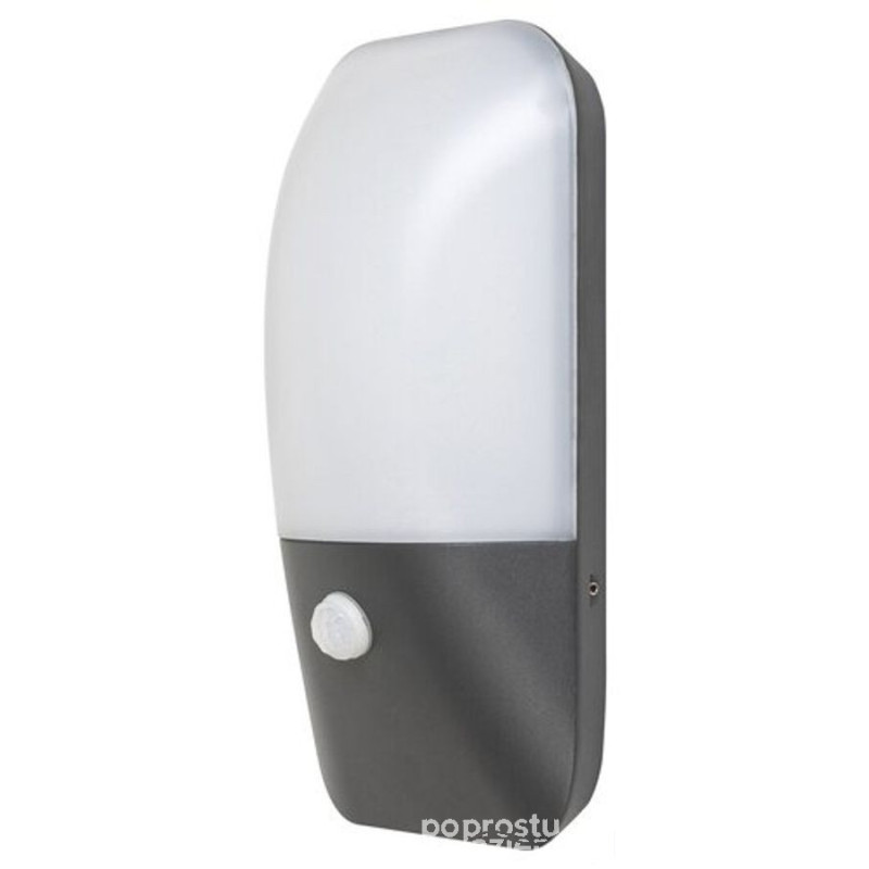 Zewnętrzna lampa ścienna Ecuador Rabalux (7997)