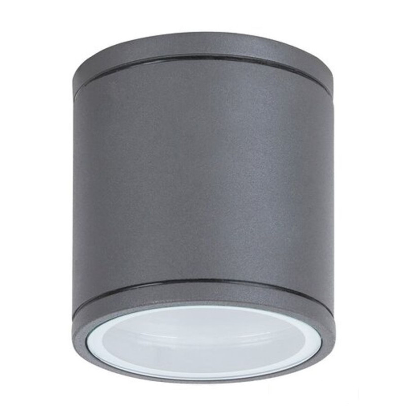 Zewnętrzna lampa sufitowa Akron Rabalux (8150)