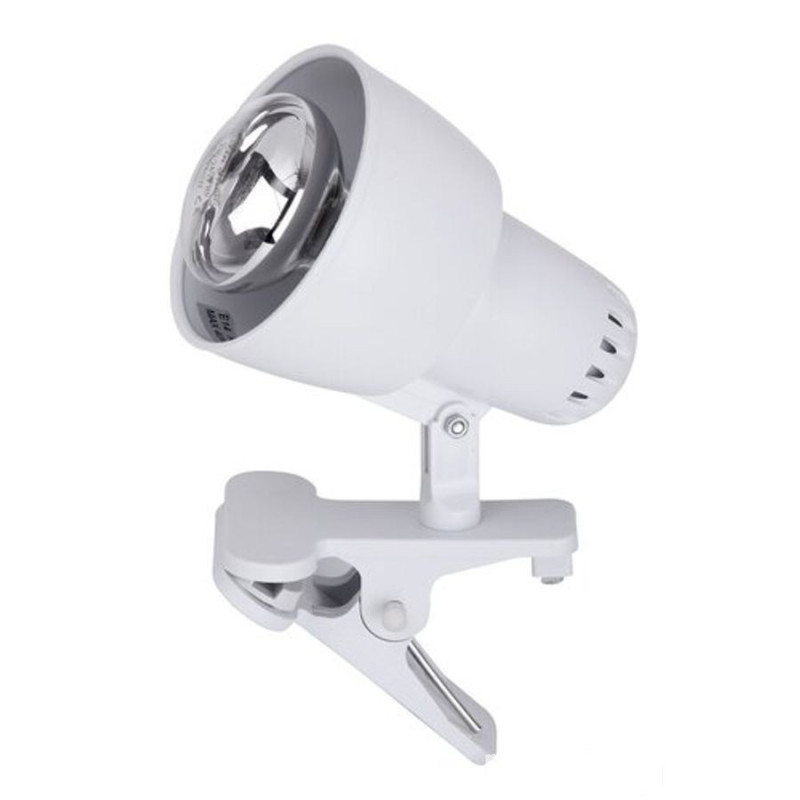 Lampy stołowe Clip Rabalux (4356)
