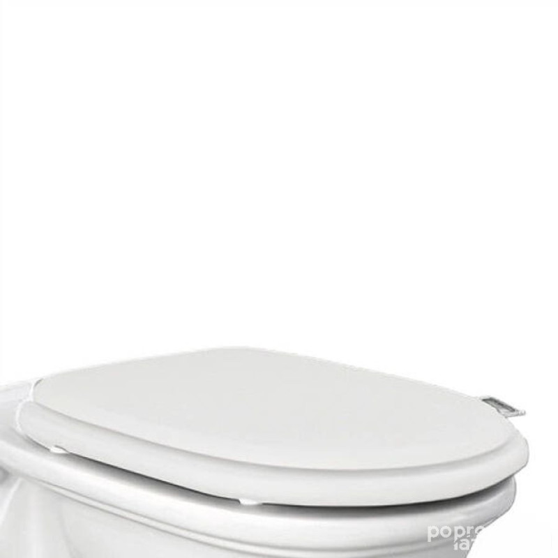 Washington deska wc w/o poliester lakier biały mat (500) Rak - washington RAK Ceramics (WTSC3901500)