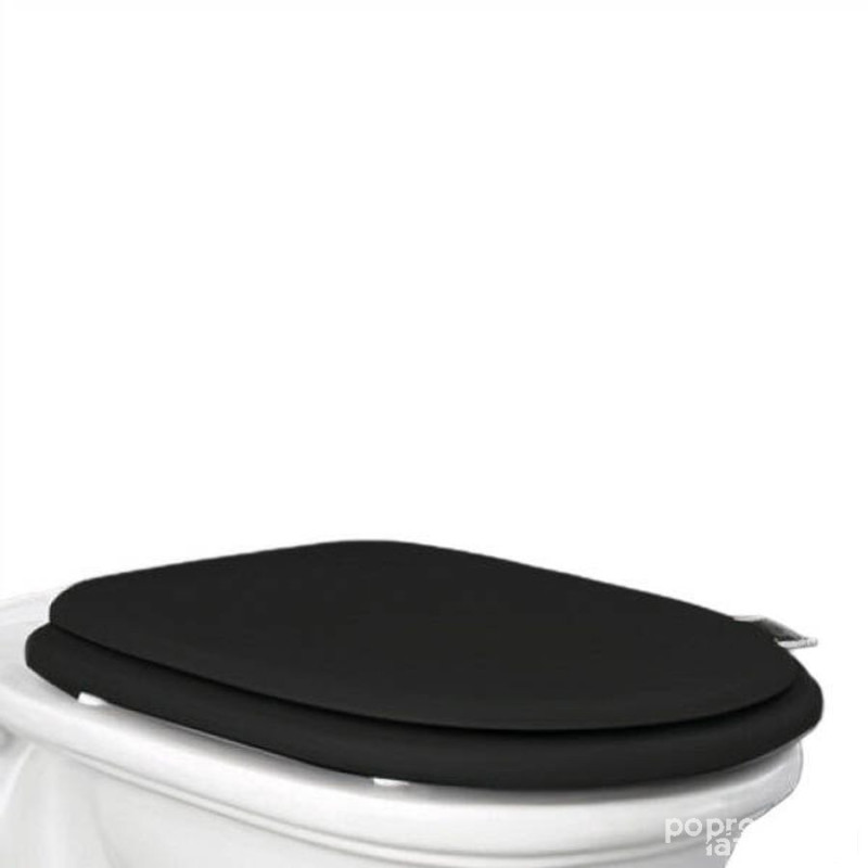 Washington deska wc w/o poliester lakier czarny mat (504) Rak - washington RAK Ceramics (WTSC3901504)