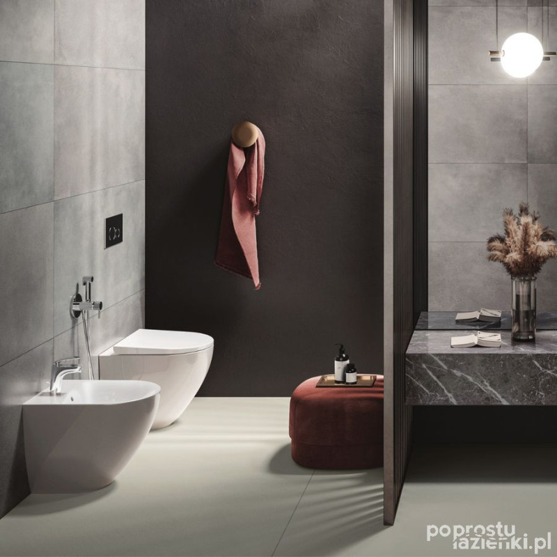 Bidet stojący 52x38 cm biały połysk Des RAK Ceramics (DESBD2015AWHA)