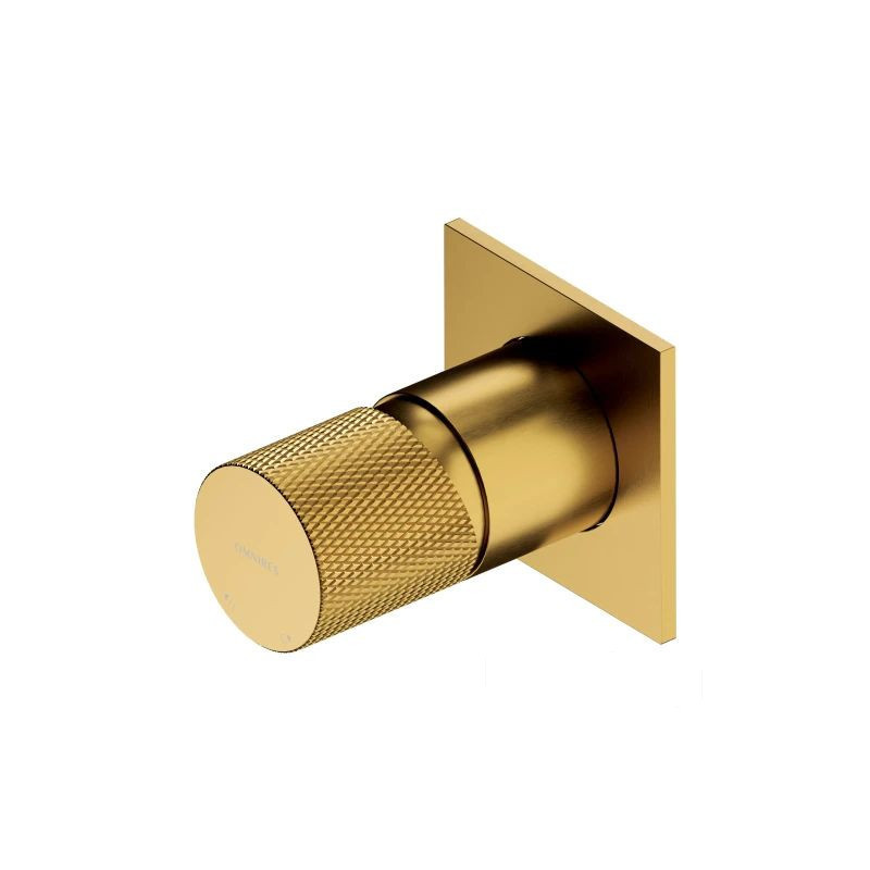 Bateria prysznicowa podtynkowa Contour złoto szczotkowane Omnires (CT8045GLB)