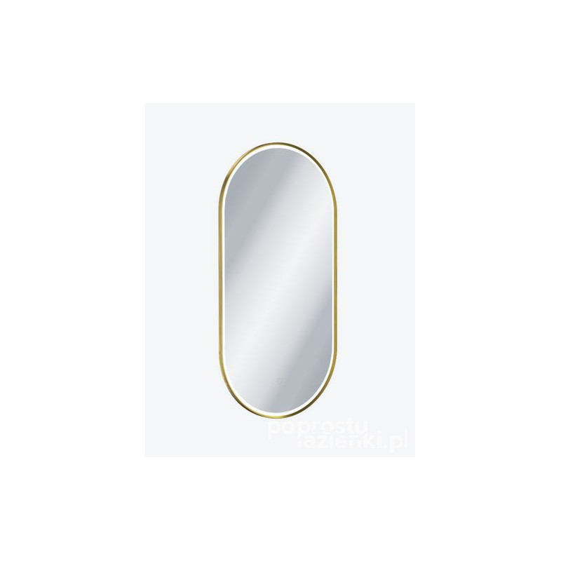 Lustro owalne LED w ramie aluminiowej złoty szczotkowany Corido Excellent (DOEX.CO100.050.GB)