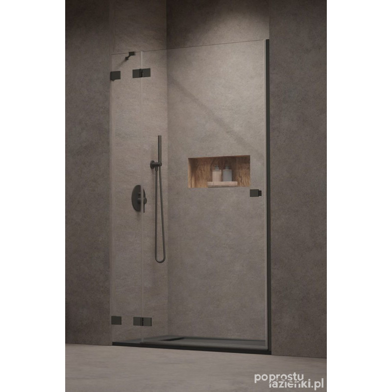 Drzwi prysznicowe 120 Lewe Essenza Pro Brushed GunMetal DWJ Radaway (10099120-92-01L)