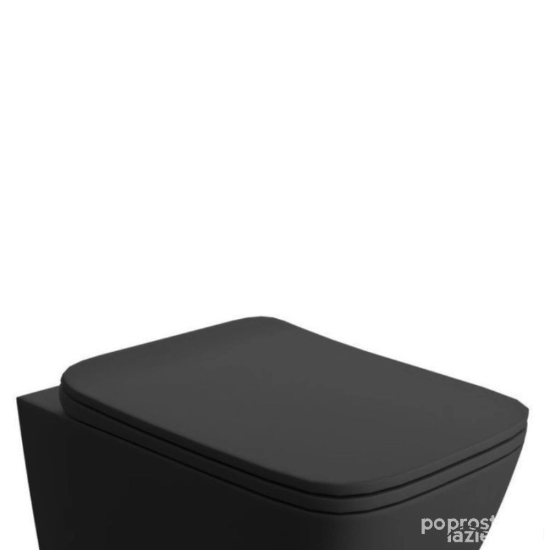 Deska wc davos slim czarna  RAK Ceramics (RACSCDS504)