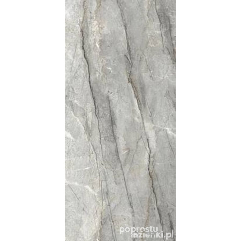 Rak ceramics 120x260 breccia adigegrey polished( slab) (249 zł / m2)  RAK Ceramics (A62GBRAE-GRY.N0X6P)