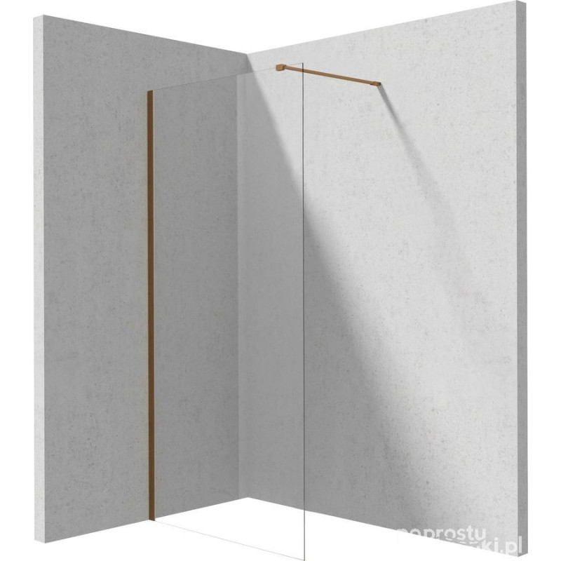 Ścianka prysznicowa walk-in 120 cm Deante (KTJ C32P)