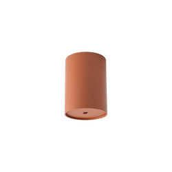 Puszka Cameleon canopy...