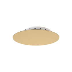 Puszka Cameleon canopy...