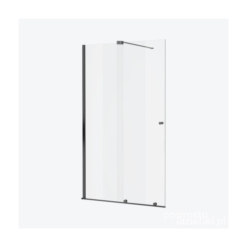 Ścianka prysznicowa walk-in 120 Ortigo grafit szczotkowany Excellent (KAEX.5012.K.1200.AB)
