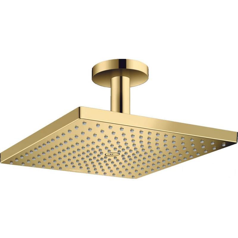 Przyłącze węża 300 Raindance złoty optyczny polerowany Hansgrohe (26250990)
