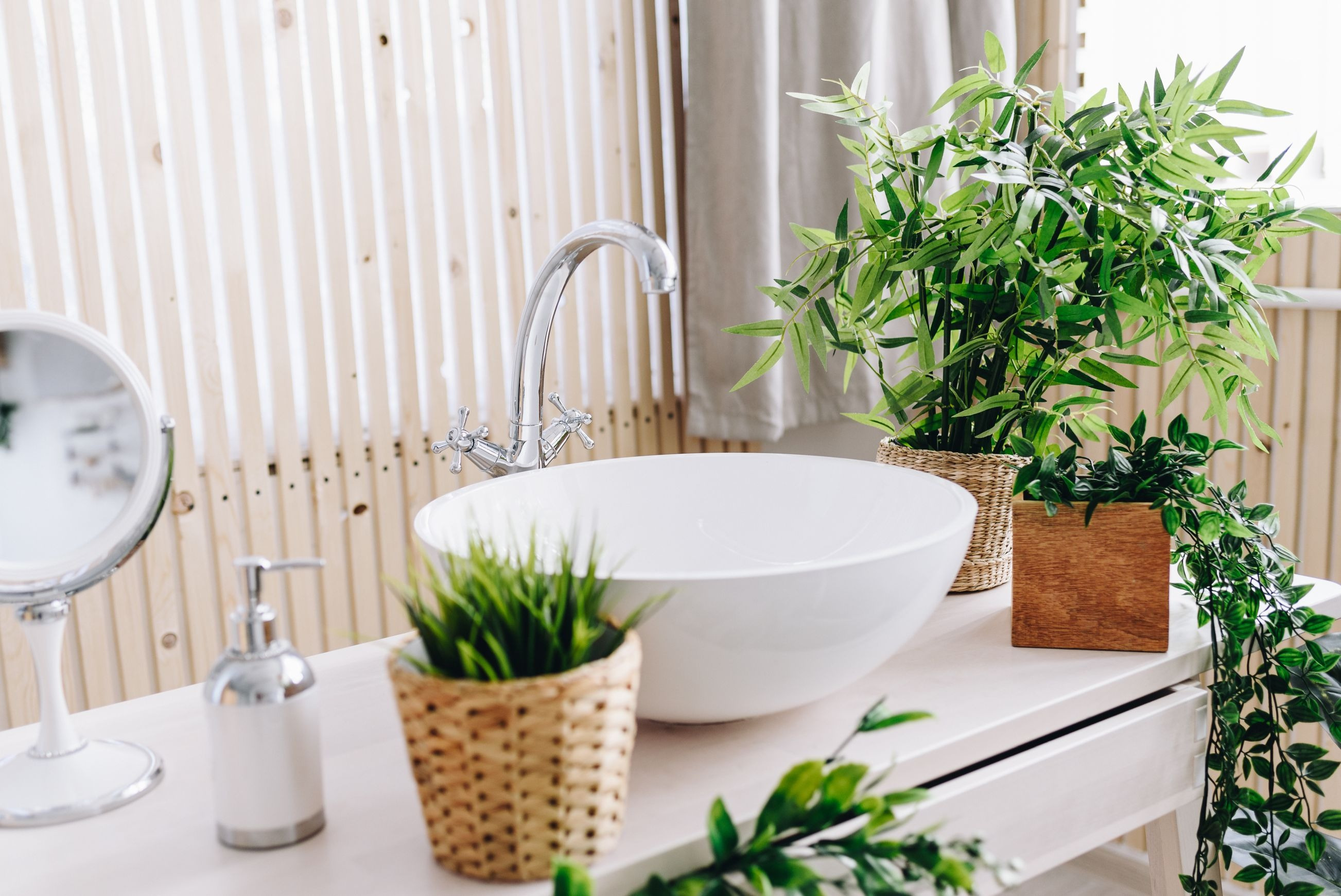 Jak dobrać rośliny do łazienki?